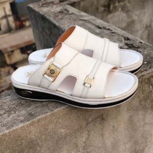 76W সাদা কালার